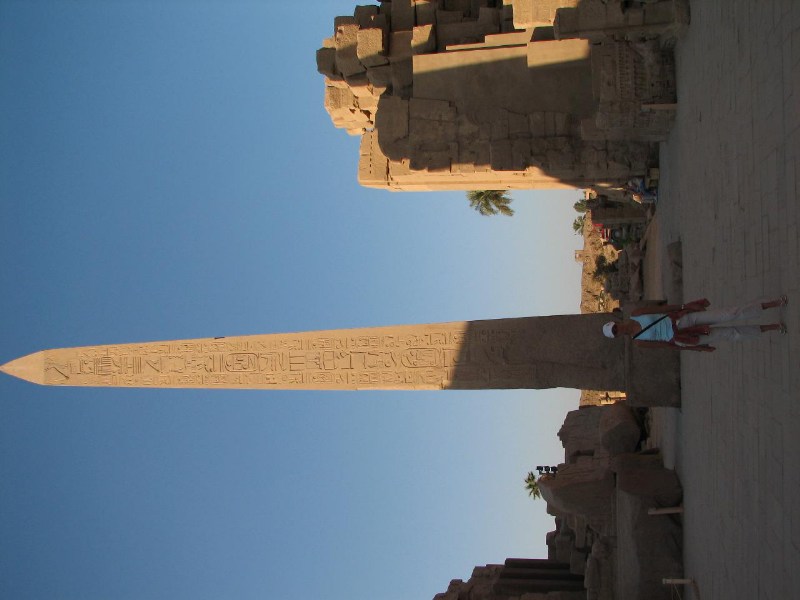   --Dasert Rose ($405)