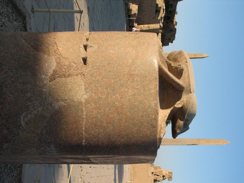   --Dasert Rose ($405)