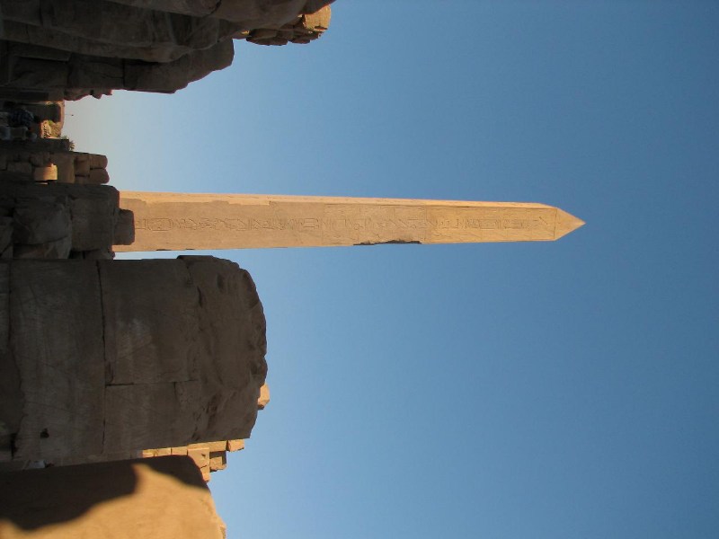   --Dasert Rose ($405)