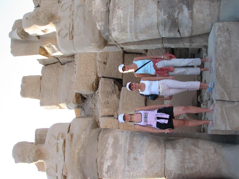   --Dasert Rose ($405)