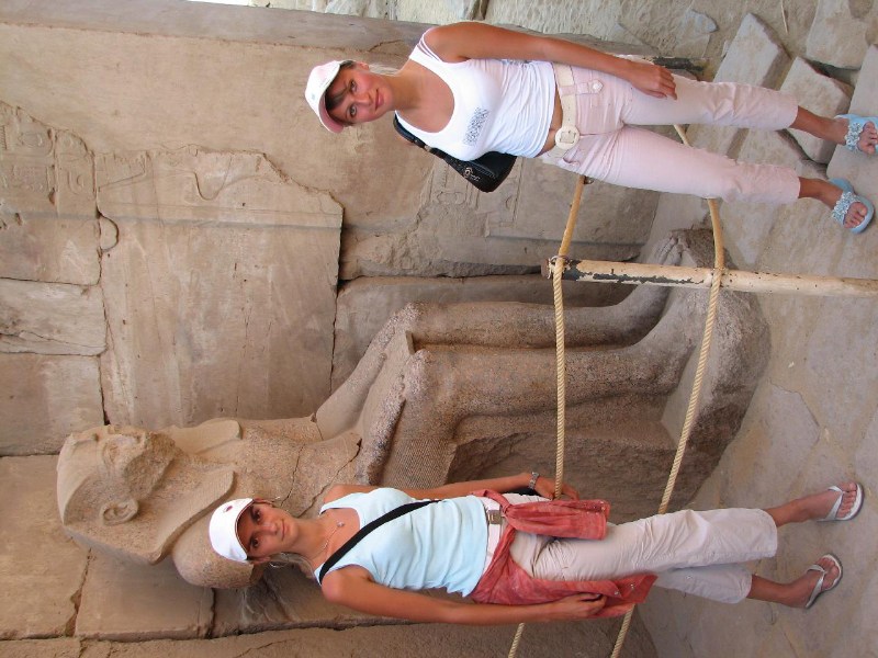   --Dasert Rose ($405)