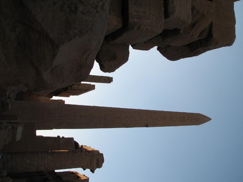   --Dasert Rose ($405)