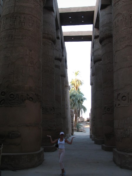   --Dasert Rose ($405)