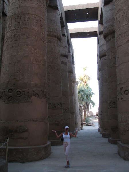   --Dasert Rose ($405)