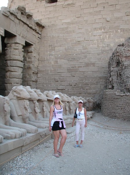   --Dasert Rose ($405)