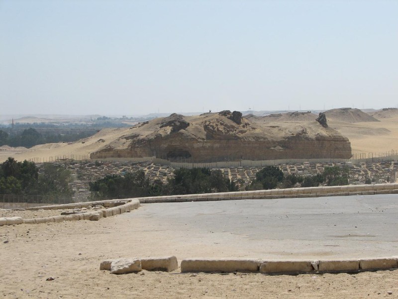   --Dasert Rose ($405)