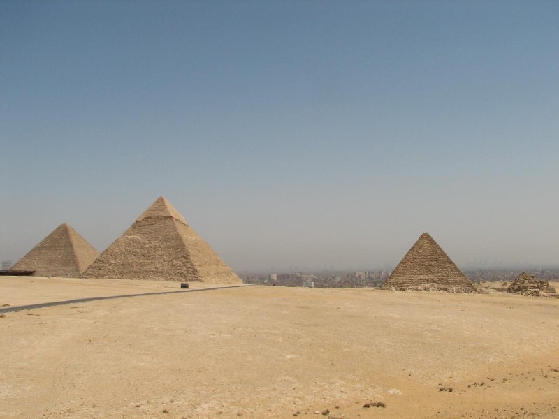   --Dasert Rose ($405)