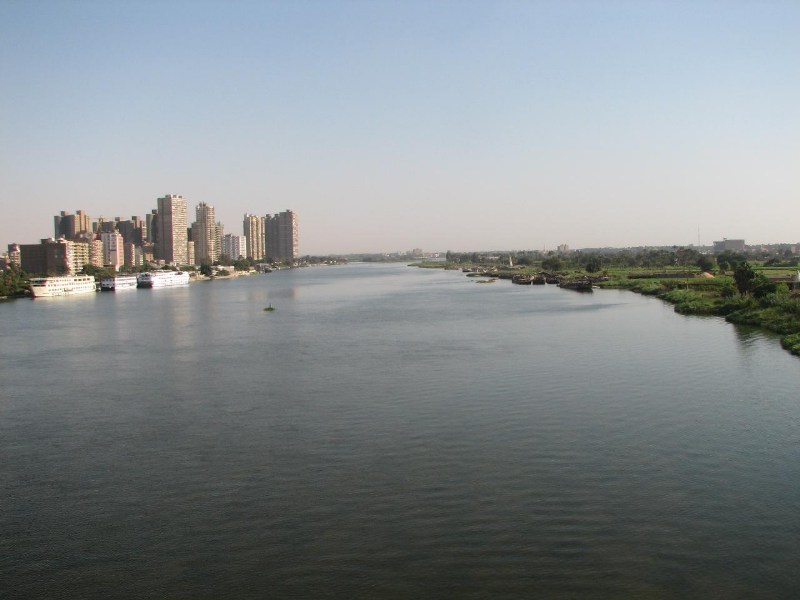   --Dasert Rose ($405)