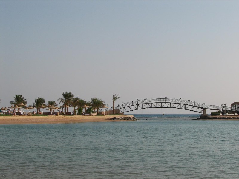   --Dasert Rose ($405)