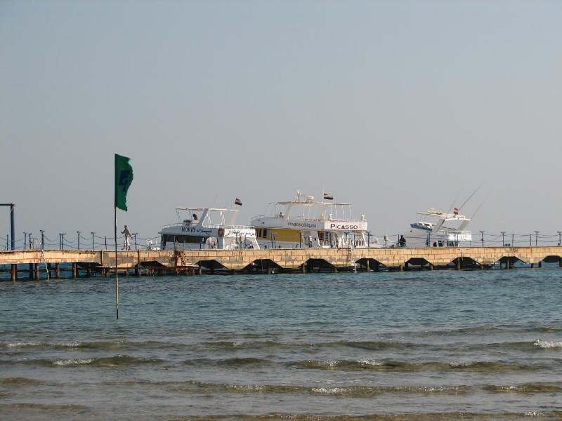   --Dasert Rose ($405)