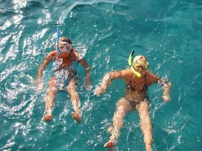   --Dasert Rose ($405)