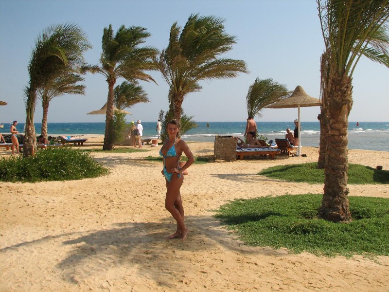   --Dasert Rose ($405)