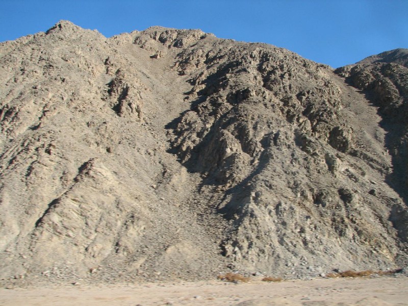   --Dasert Rose ($405)