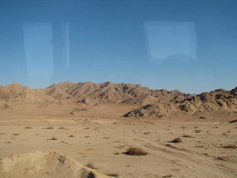   --Dasert Rose ($405)