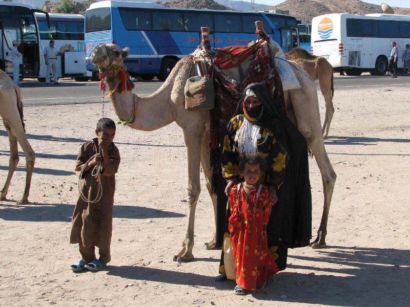   --Dasert Rose ($405)