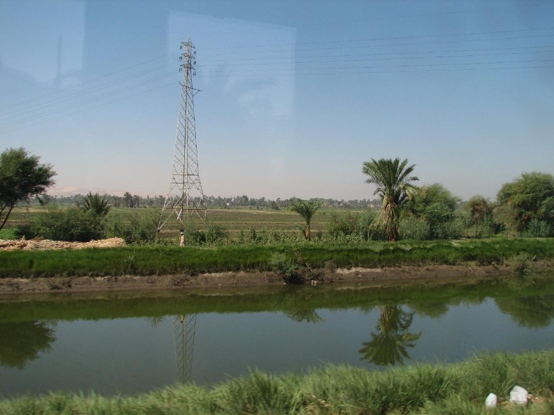   --Dasert Rose ($405)