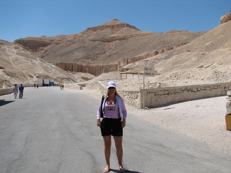   --Dasert Rose ($405)