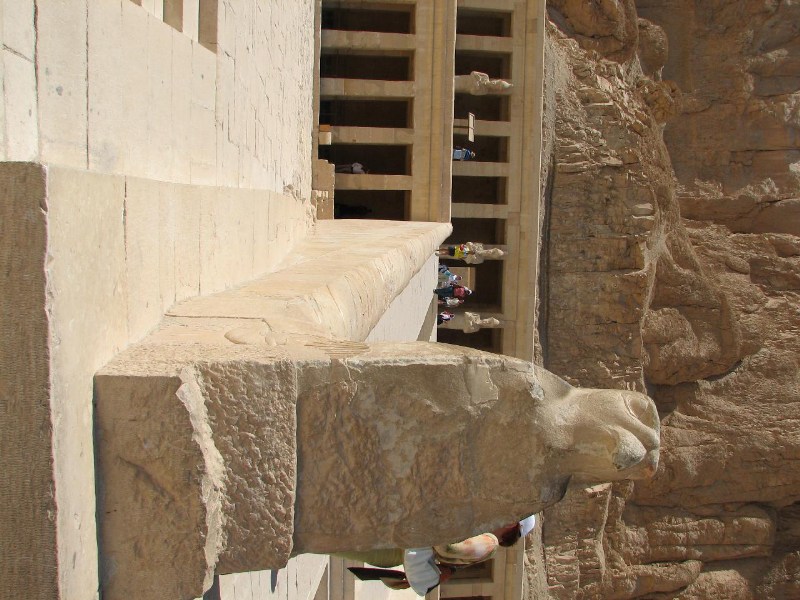   --Dasert Rose ($405)