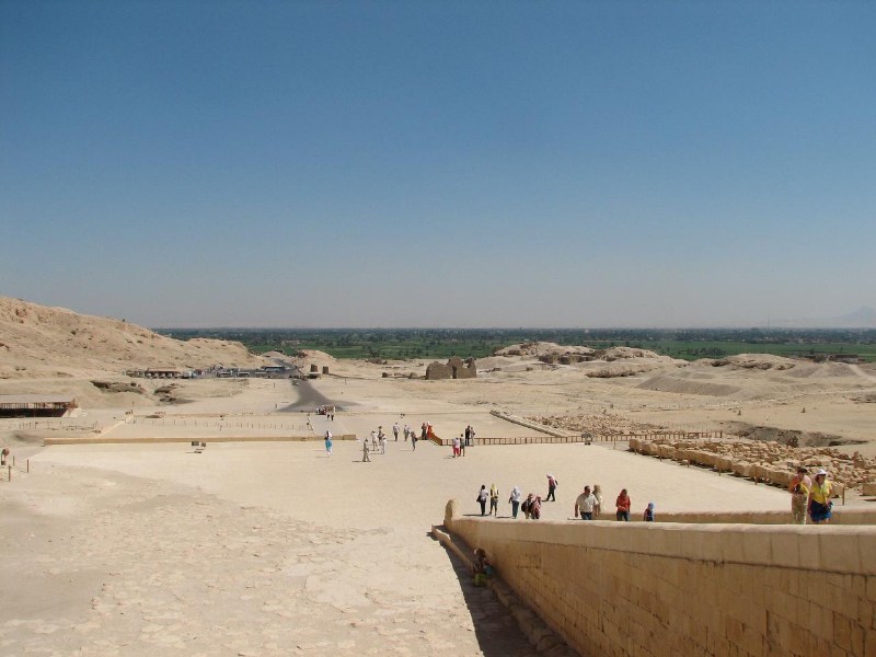   --Dasert Rose ($405)