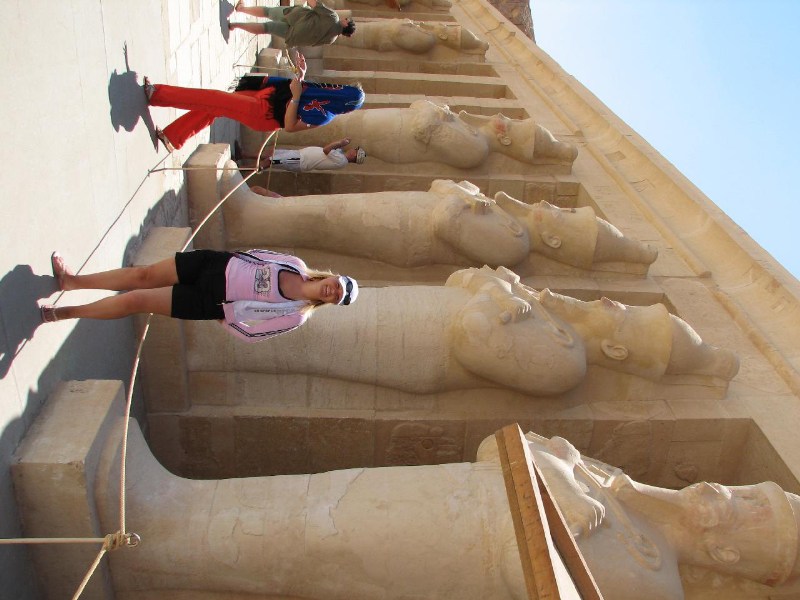   --Dasert Rose ($405)