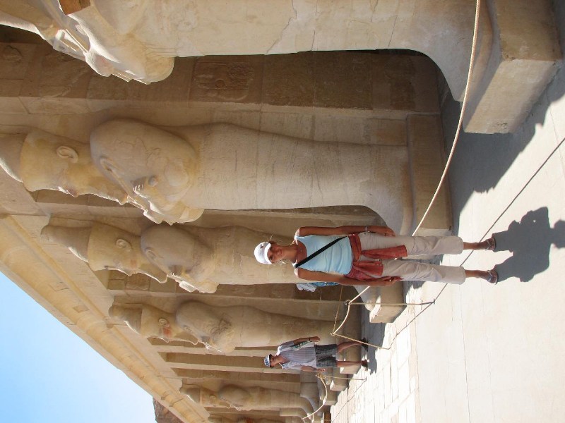   --Dasert Rose ($405)