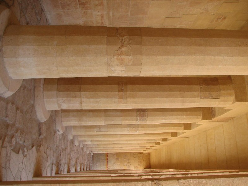   --Dasert Rose ($405)