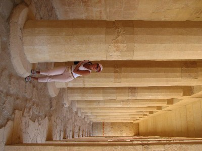   --Dasert Rose ($405)