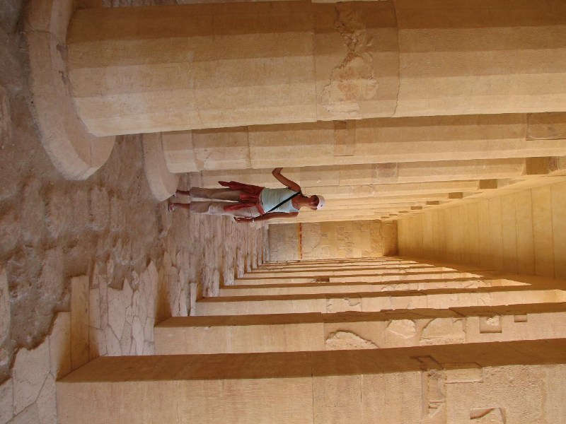   --Dasert Rose ($405)