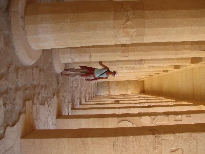   --Dasert Rose ($405)