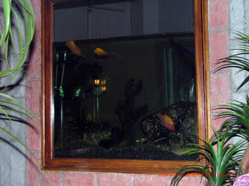    7.12.2005  7.12.2005