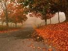  - ,  - Autumn pictures