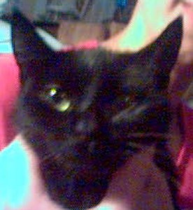   Portfolio My friends and I