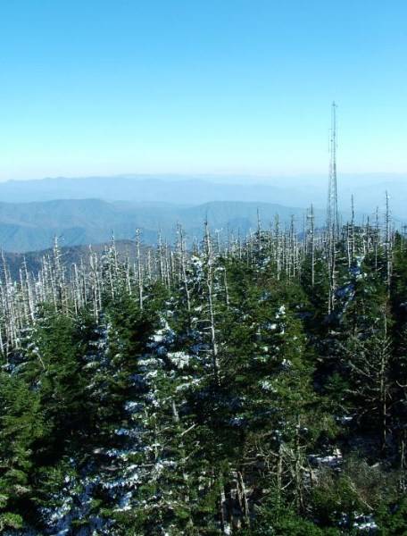 ���������� ������ �����, ������ - Tenesse/N Carolina Mountains