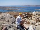 ���������� - ($281) - ��������� ����������� ������