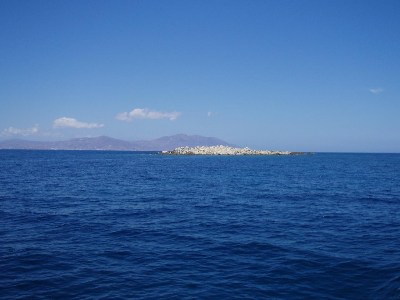 ���������� ������ ��������� ����������� ������ ($281)