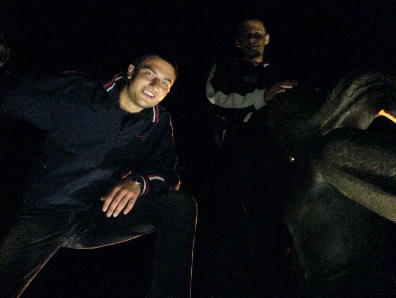    - Sugars      !!    !