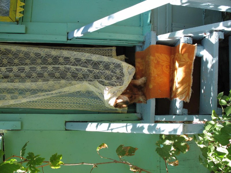    -  2006_07_28-31 ($300)