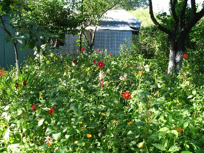    -  2006_07_28-31 ($300)