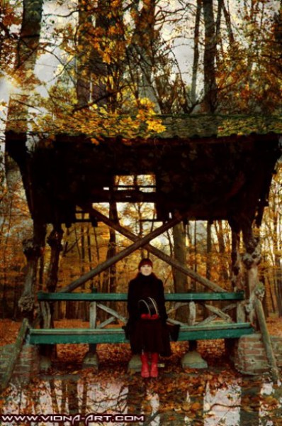    -      .   www.viona-art.com