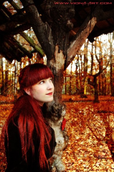    -      .   www.viona-art.com