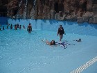 ���������� ������ ������� - ���� ���� 2005