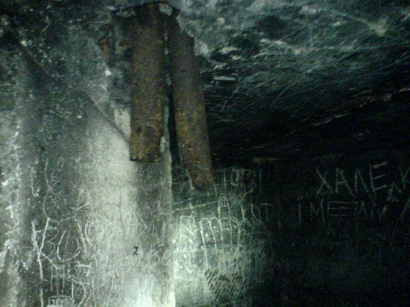    -     23.09.06 ($272)