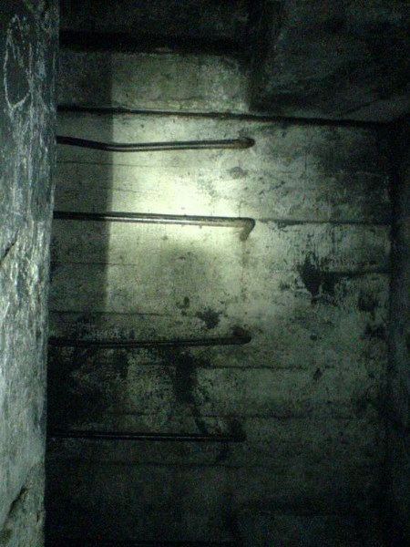    -     23.09.06 ($272)