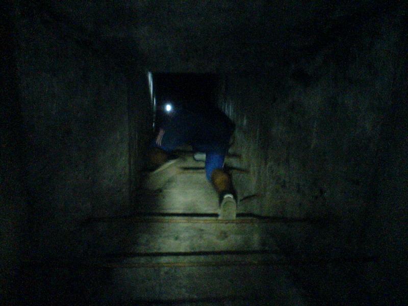    -     23.09.06 ($272)