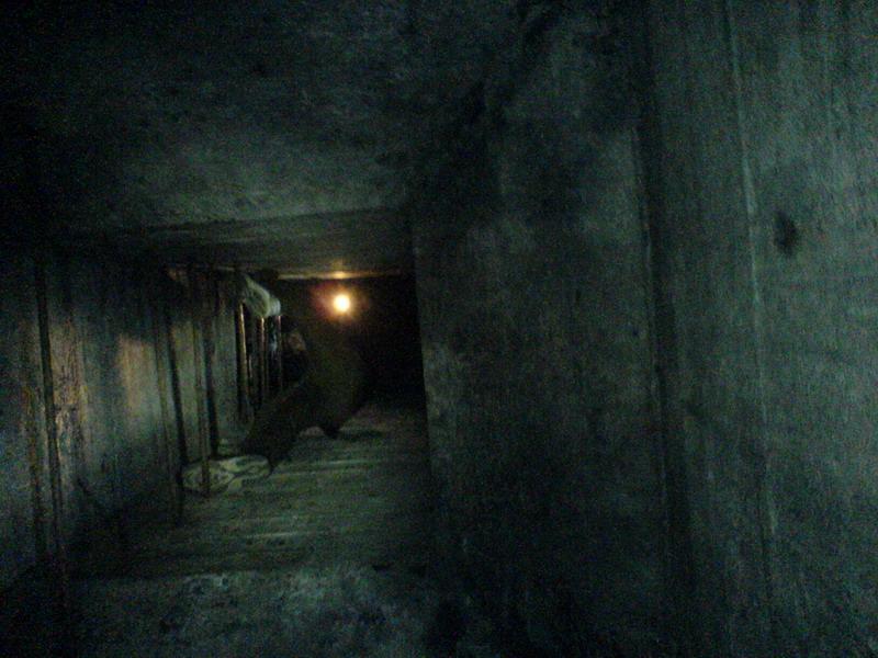    -     23.09.06 ($272)