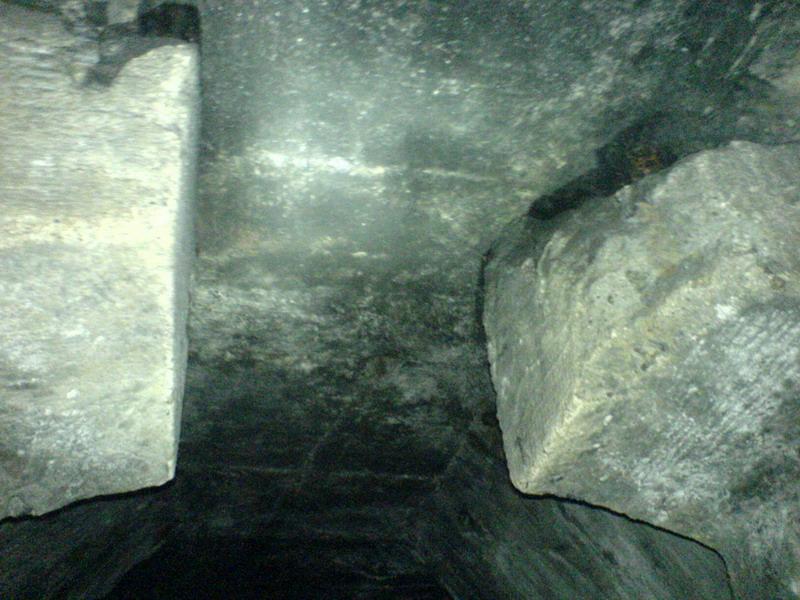    -     23.09.06 ($272)