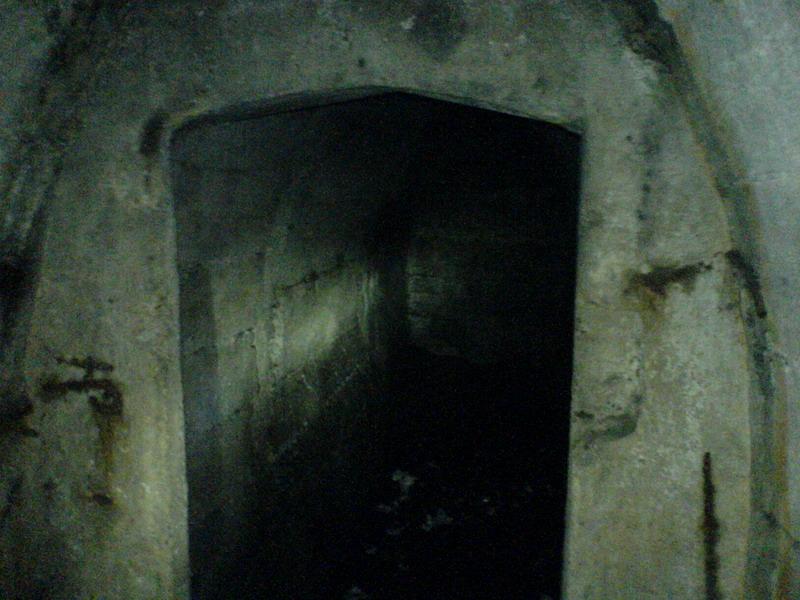    -     23.09.06 ($272)