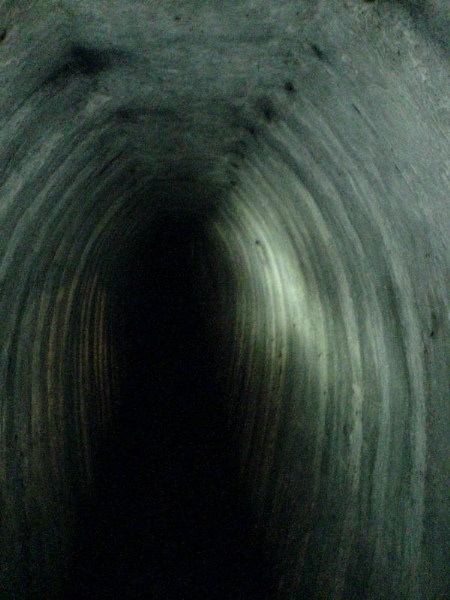    -     23.09.06 ($272)