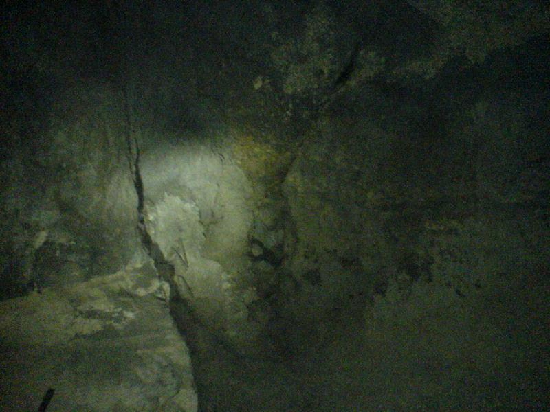    -     23.09.06 ($272)