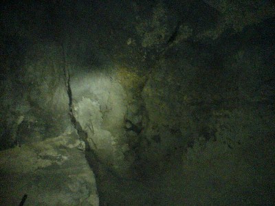    -     23.09.06 ($272)